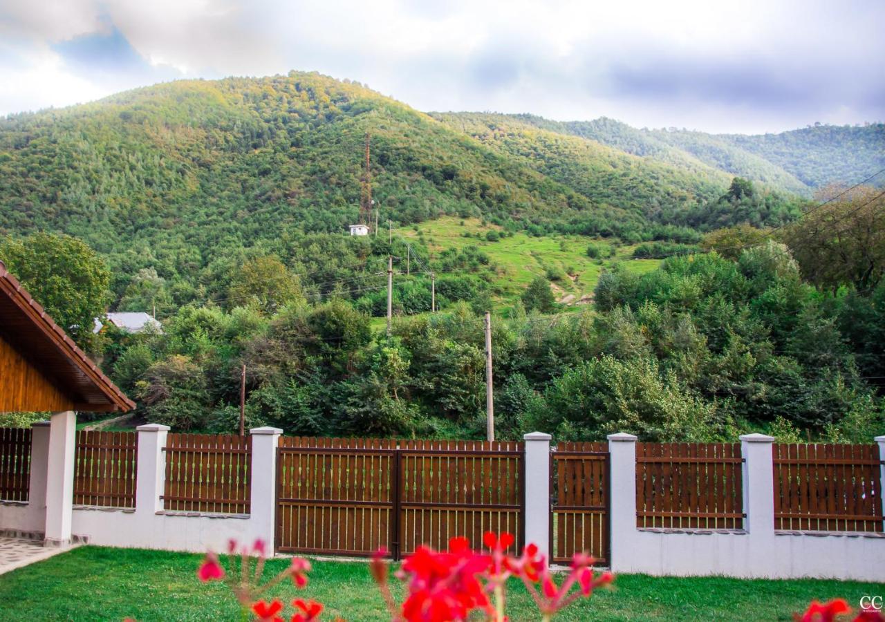 Popasul Junilor Hotel Gura Rîului Quarto foto